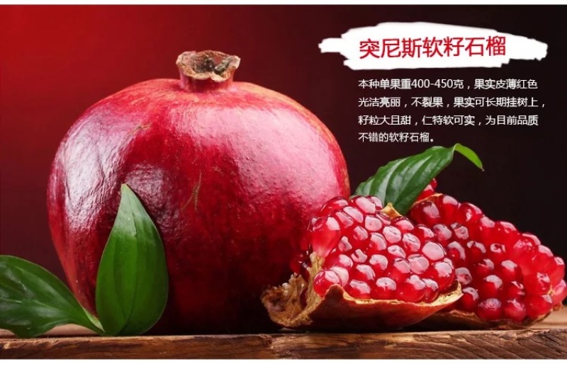 突尼斯软籽石榴树苗泰山红无籽黑籽石榴苗软籽石榴苗
