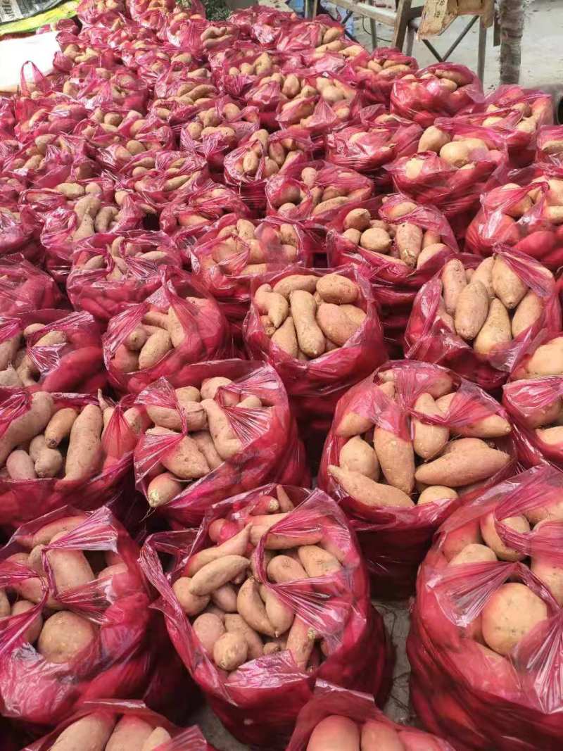 【红薯】湖北精品红薯产地直销可视频看货欢迎咨询