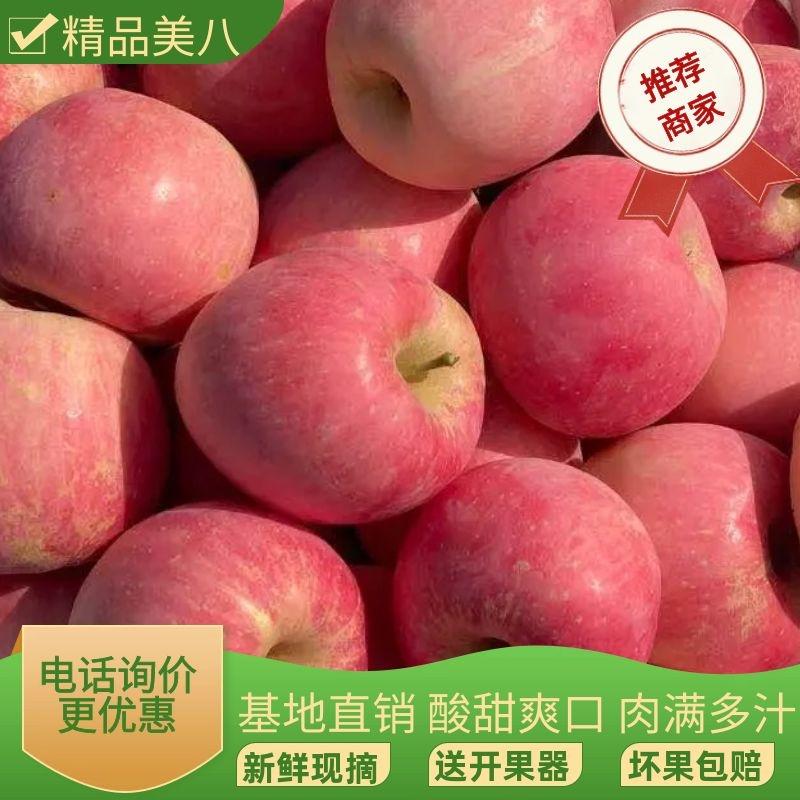山东精品美八苹果批发货源充足质量保证提供一条龙服务