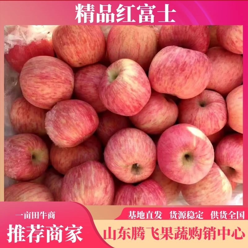 【红富士苹果批发】货源充足供应全国量大从优欢迎咨询