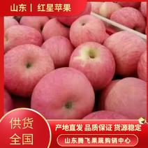 山东红星苹果批发产地直销货源充足质量保证供货全国