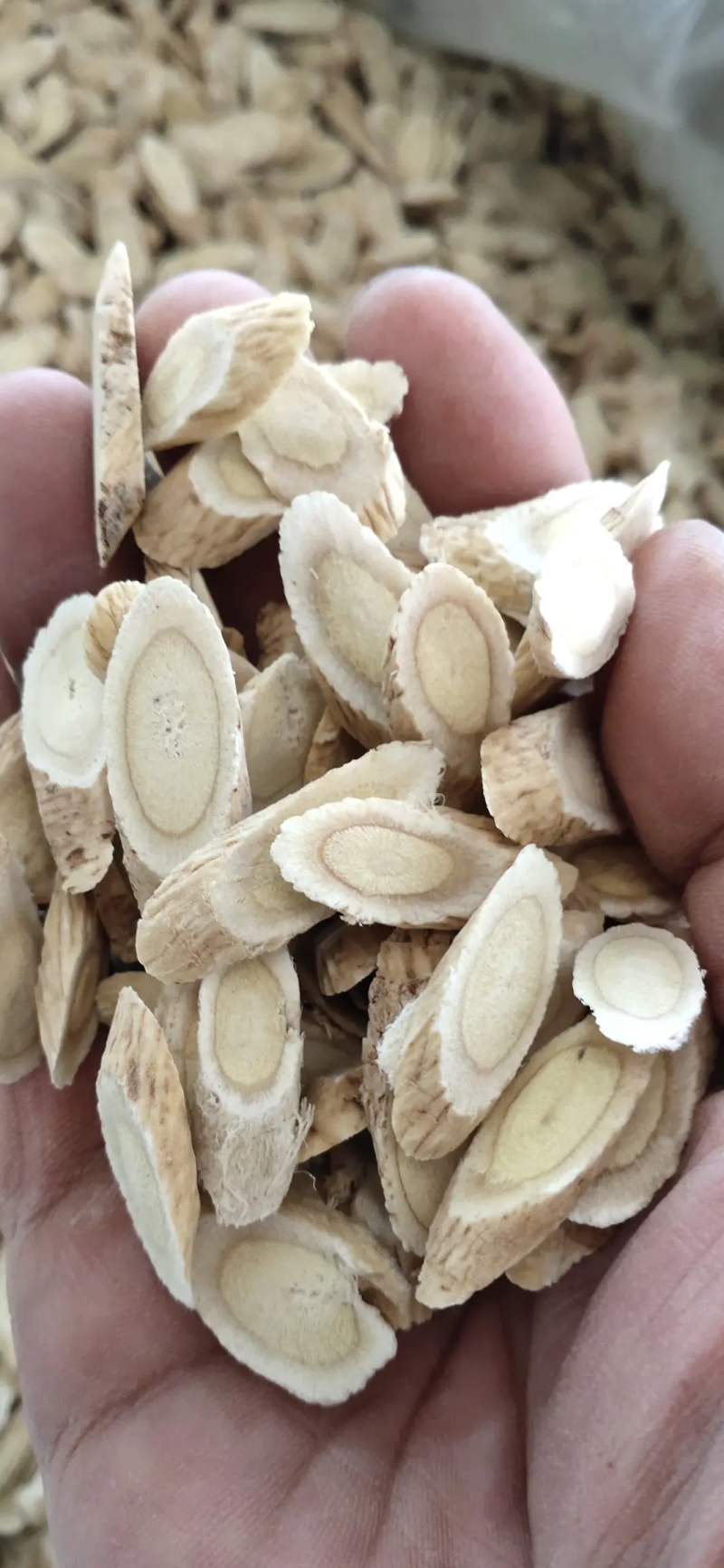 甘肃【包邮】精选黄芪指甲片产地直供规格齐全批发零售