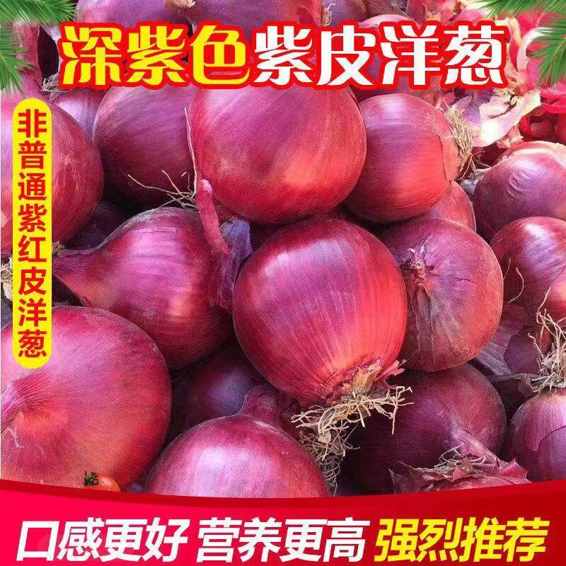 【洋葱】精品紫皮洋葱8厘米起，质量保证欢迎选购