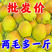 源自新疆香梨新鲜水果梨子3/5/10斤脆甜青皮薄酥梨应季