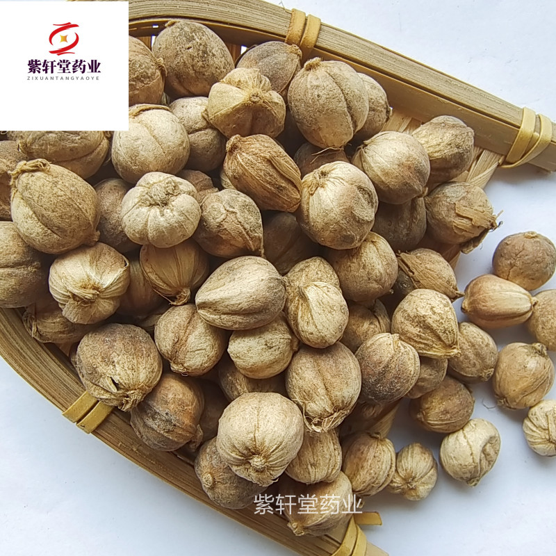 白豆蔻白扣白豆蔻统货大降价产地广西地道药材