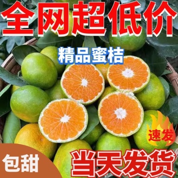 【柑桔】湖北蜜桔特早蜜桔口感纯正自产自销欢迎选购