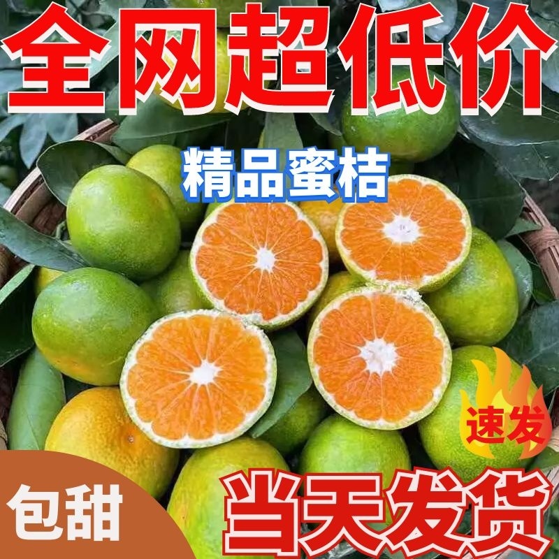 【柑桔】湖北蜜桔特早蜜桔口感纯正自产自销欢迎选购