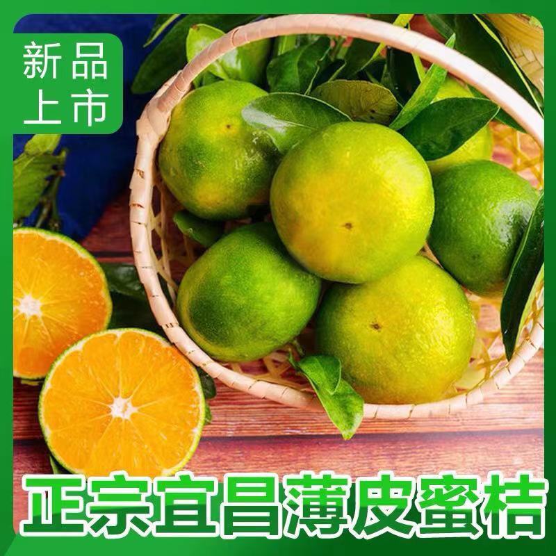 【特早蜜橘】蜜橘，柑橘已上市，量大从优皮薄肉厚入口化渣