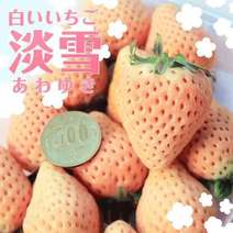 淡雪脱毒草莓苗，成活率高，产量高。口感甜味重，卖相很好，