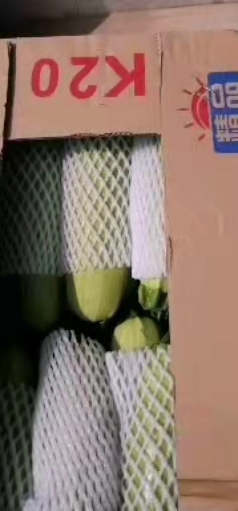 陕西精品西葫芦，基地直销，货源充足，质量高，稳定供货全国