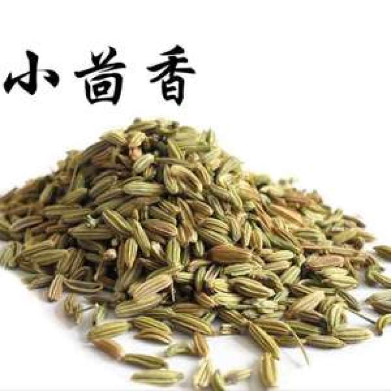 小茴香批发小茴香颗粒饱满产地直销量大从优