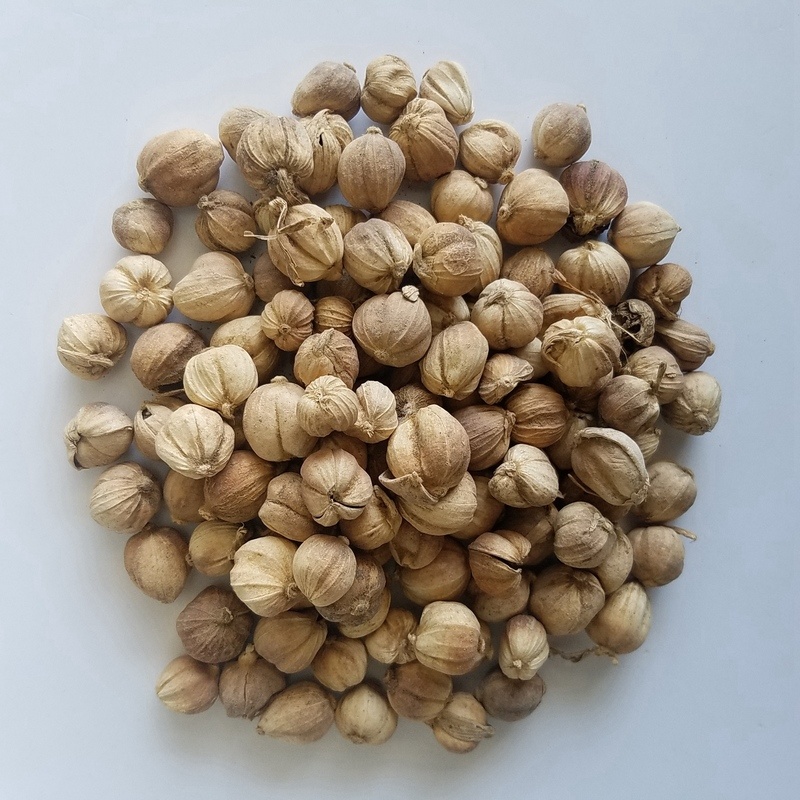 白豆蔻白扣批发零售白豆蔻产地直销重在质量