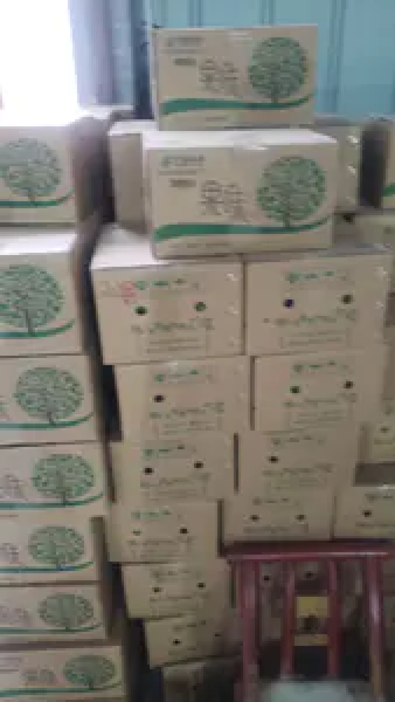 【精品推荐】云南特早蜜桔精品橘子产地一手货源