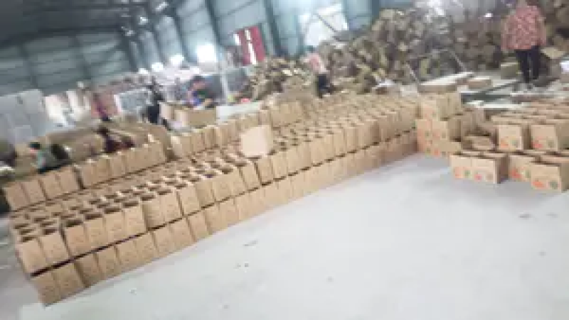 【精品推荐】云南特早蜜桔精品橘子产地一手货源