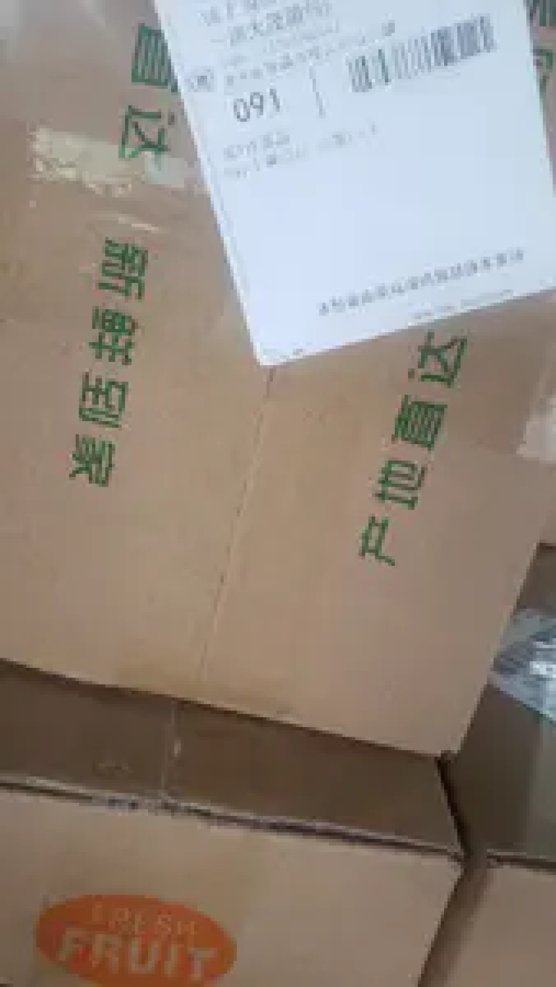 【精品推荐】云南特早蜜桔精品橘子产地一手货源