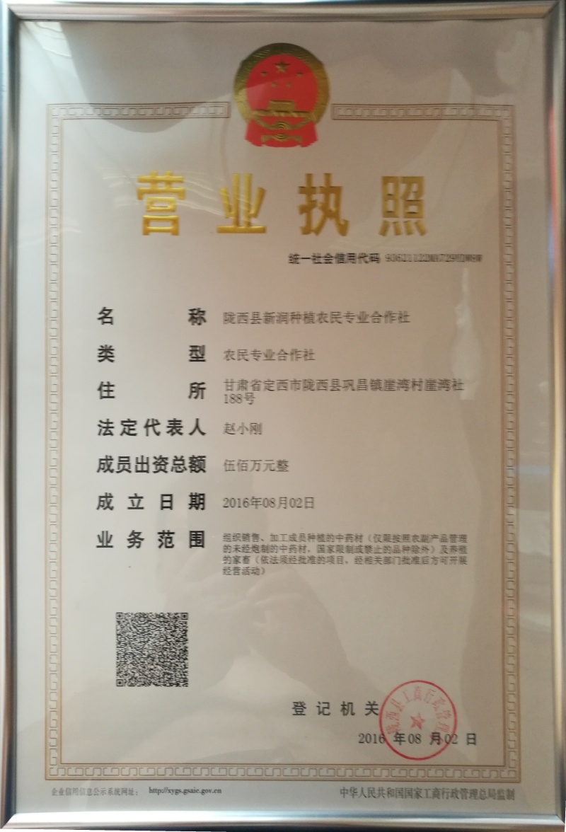黄芪种子甘肃陇西合作社自产自销20斤起子种品种优