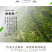贡茗春凤凰单丛功夫茶潮州单丛茶叶银花香鸭屎香乌岽