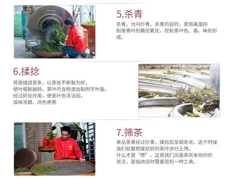 贡茗春凤凰单丛功夫茶潮州单丛茶叶银花香鸭屎香乌岽