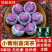 小青柑浓香茶叶云南普洱熟茶生晒陈皮普茶新会小青桔罐装包邮