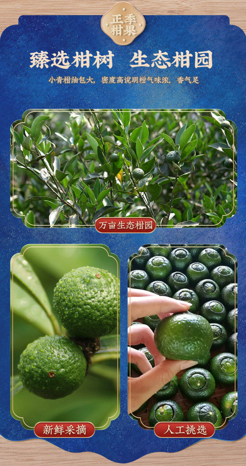 小青柑浓香茶叶云南普洱熟茶生晒陈皮普茶新会小青桔罐装包邮