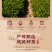 新茶金骏眉茶叶蜜香正宗红茶金俊眉125g//250g罐装