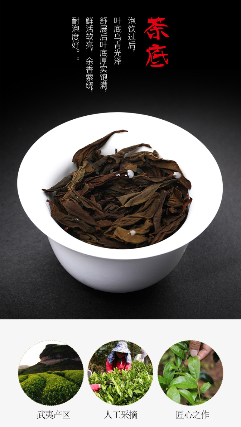 武夷山岩茶大红袍茶叶乌龙茶肉桂茶袋装浓香型大份量250克