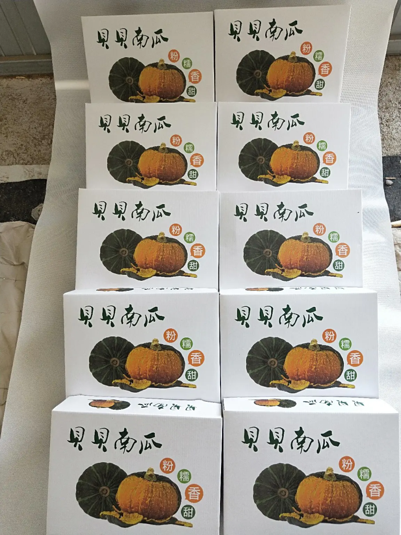 贝贝南瓜礼盒，团购落地配，基地直发，一手货源，电商对接