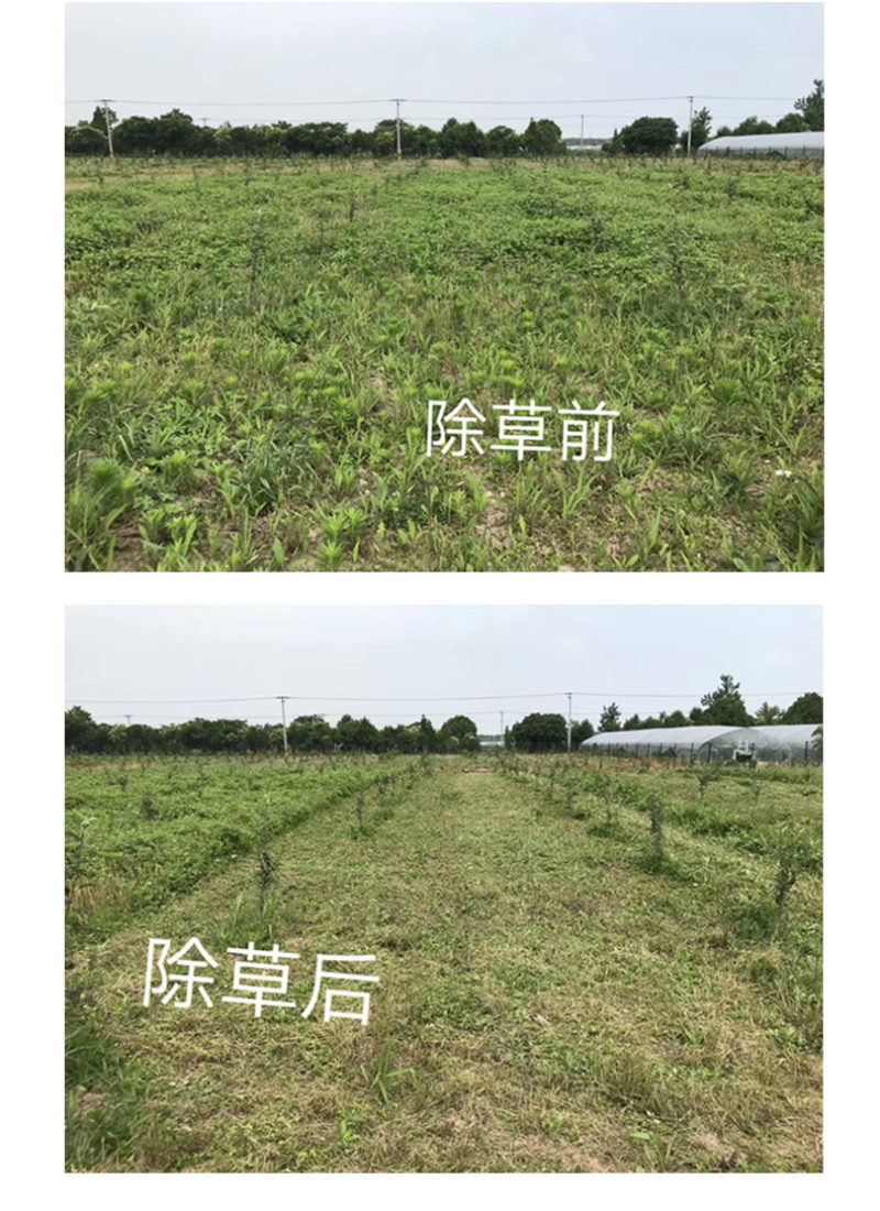 新款汽油柴油自走式碎草机果园农场开荒除草机玉柴动力割