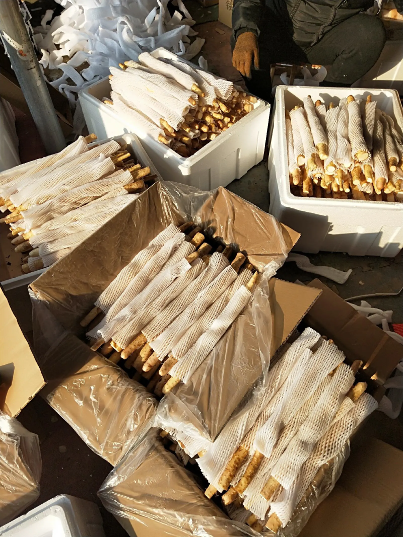小蛮腰金沙山药礼盒批发电商社团落地配供应，基地直发