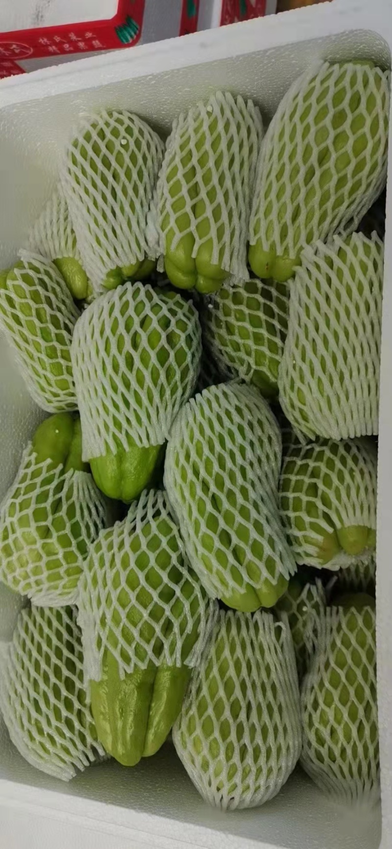 佛手瓜产地直供精选包装高品质纯绿色