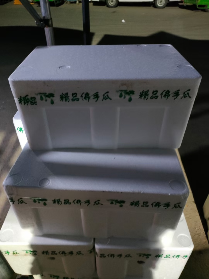 佛手瓜产地直供精选包装高品质纯绿色