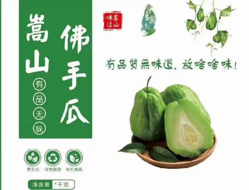 佛手瓜产地直供精选包装高品质纯绿色