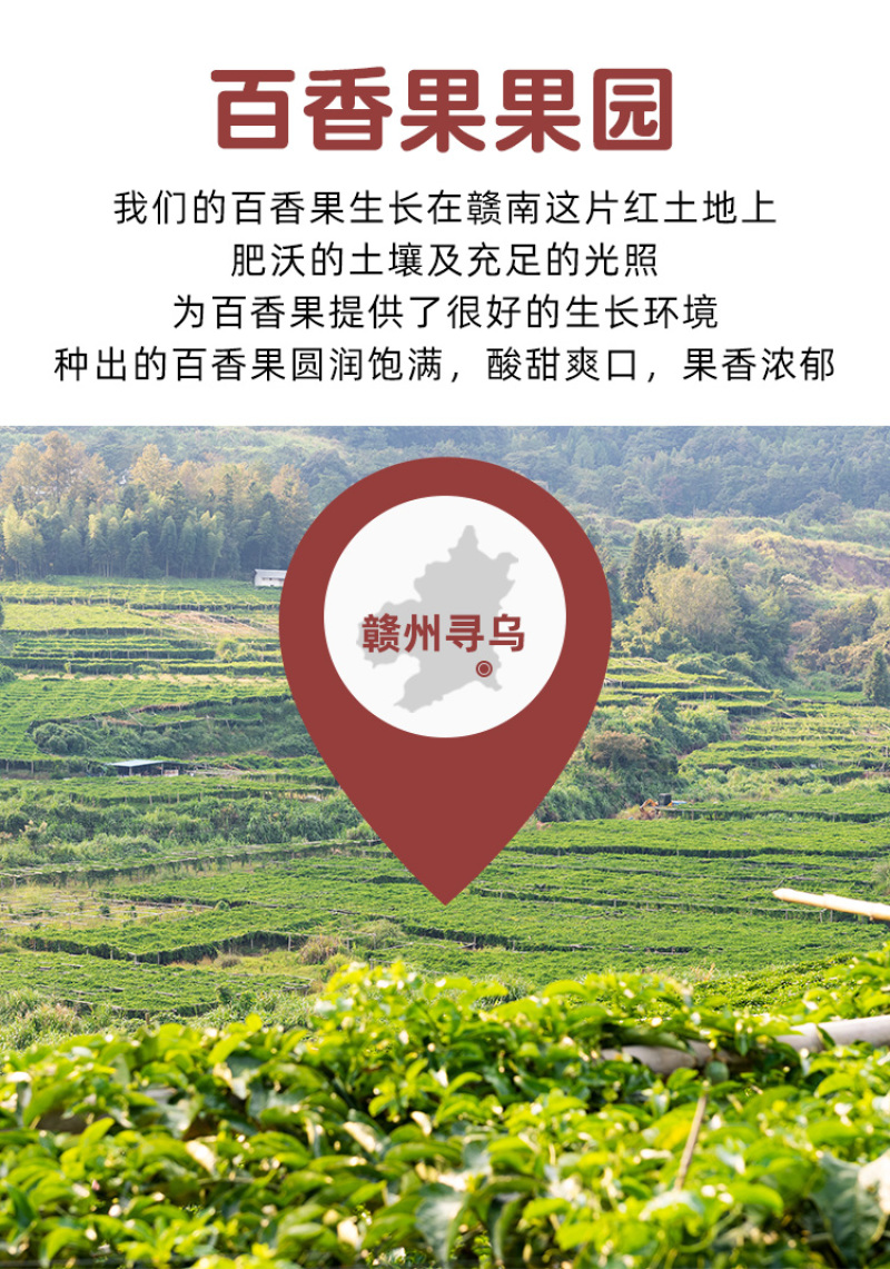 江西赣南寻乌百香果基地直发大量供应，可实地考察货源
