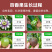 江西赣南寻乌百香果基地直发大量供应，可实地考察货源