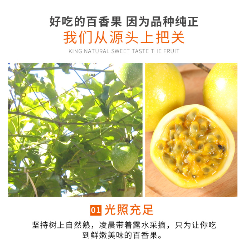 海南钦蜜9号黄金百香果5斤装一件代发，新鲜采摘，坏果包赔