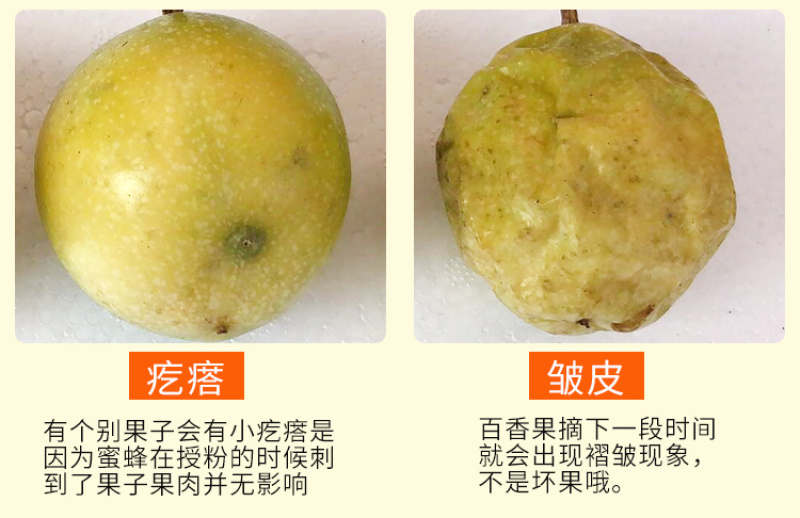 海南钦蜜9号黄金百香果5斤装一件代发，新鲜采摘，坏果包赔