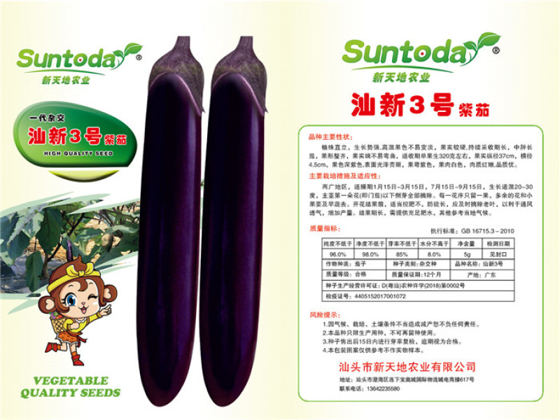 茄子种子