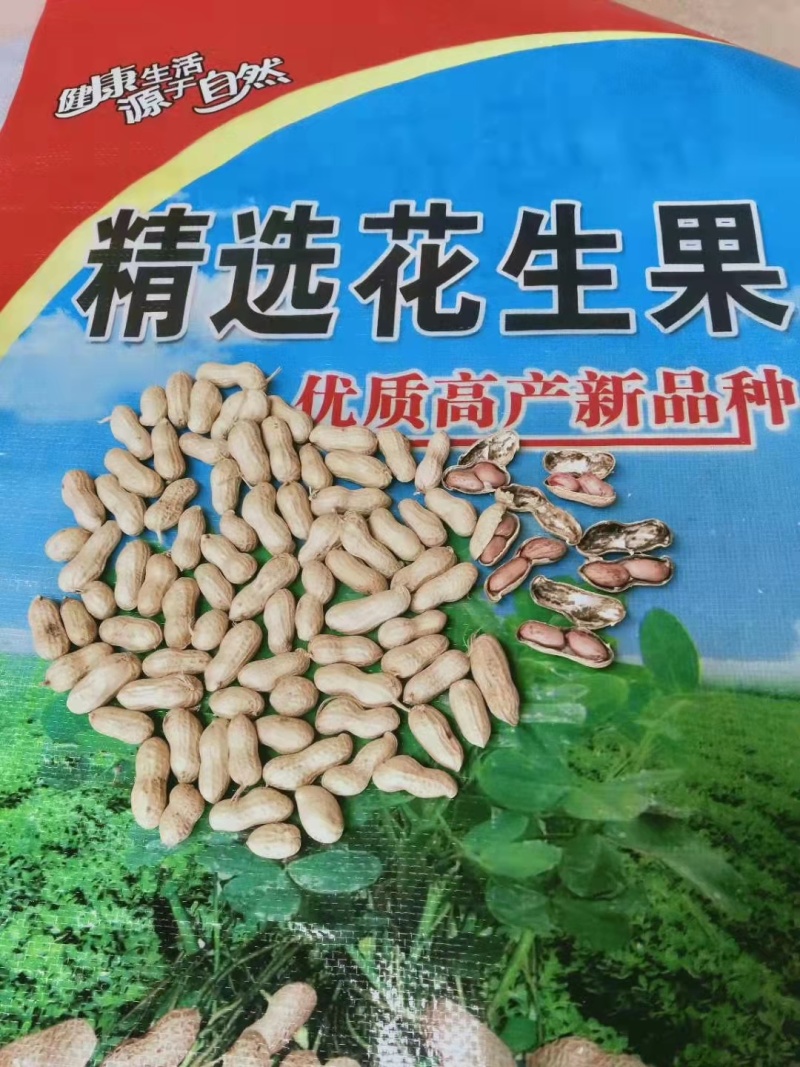 天府3号花生精品小日本花生，支持视频看货，基地直供