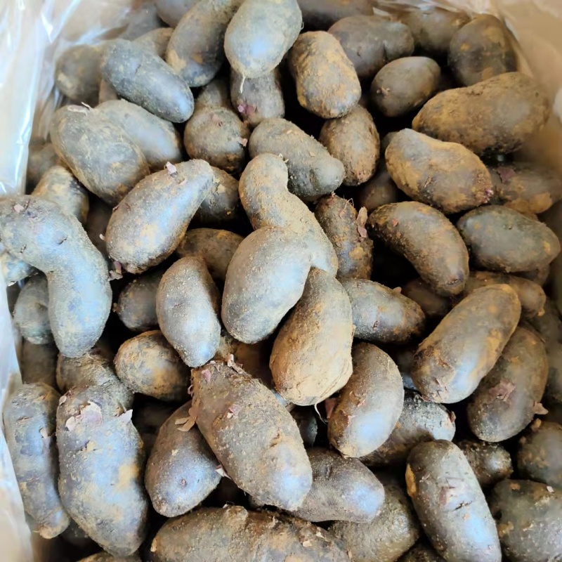 紫土豆批发，红土豆批发，基地直发，各种规格，诚信经营