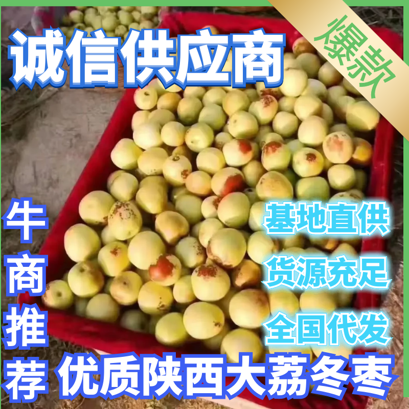 陕西冬枣大量上市，口感脆甜，个头均匀，一件代发！！！