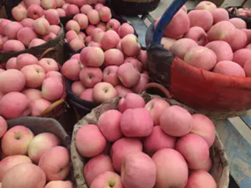 红富士苹果大量上市，新鲜当季水果，爽脆多汁红富士