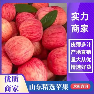 【苹果】红富士苹果产地直销电商货全国发货欢迎选购