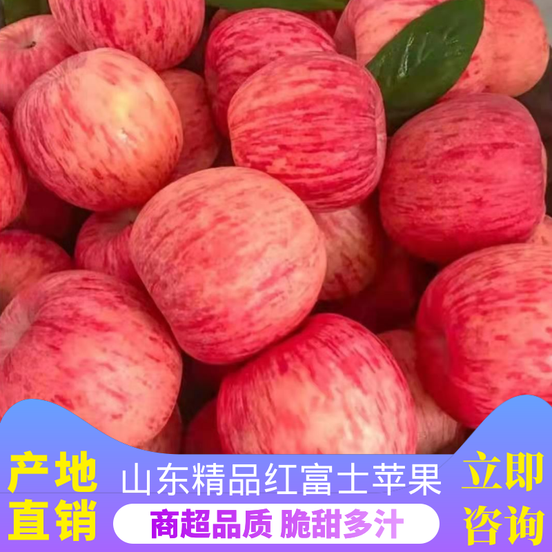 山东沂源红富士苹果，规格品质齐全，货源充足，随到随装