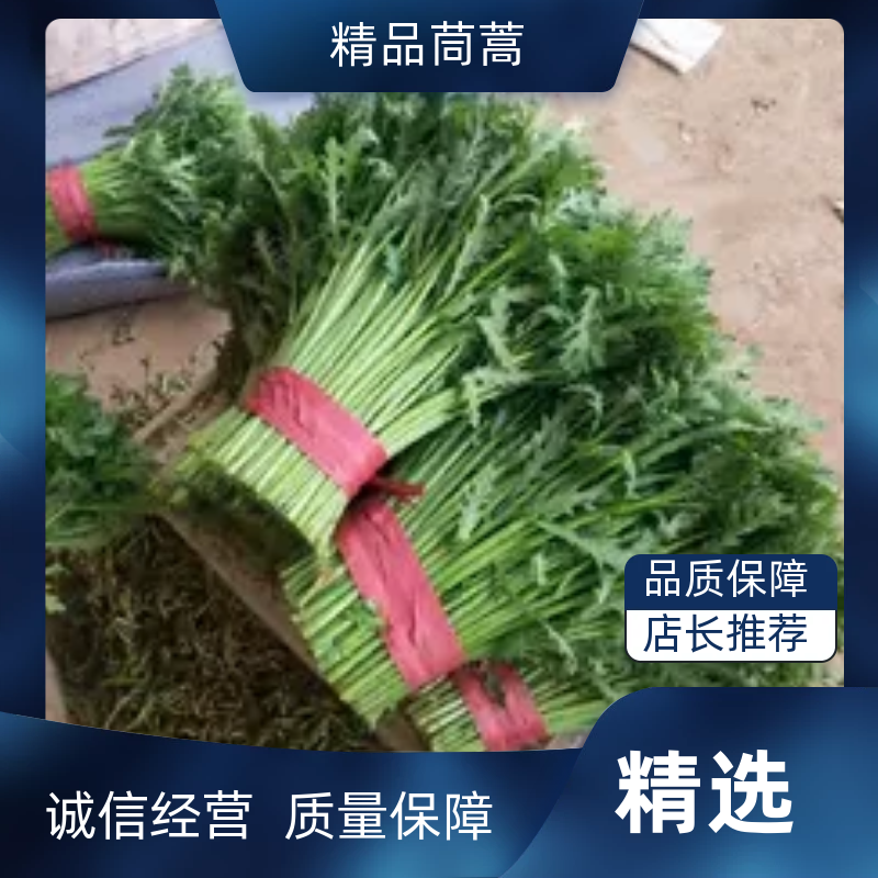 🔥🔥精品茼蒿产地直发【专业代办】货源充足运输便利