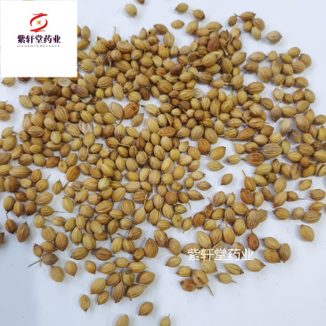 胡荽子芫荽籽香菜籽香菜子产地安徽省紫轩堂药业