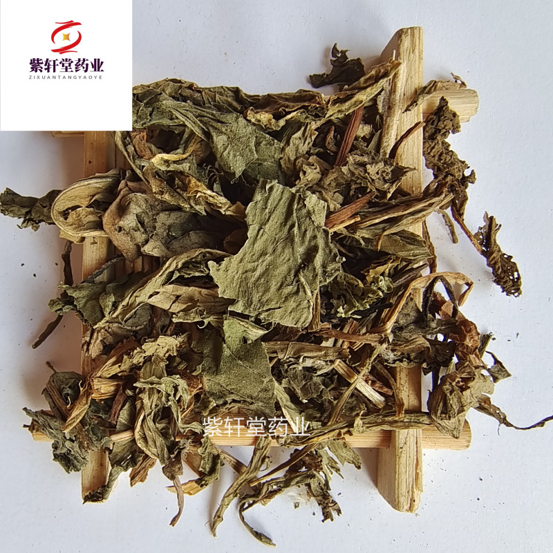 蒲公英家种蒲公英新货绿色产地直供产地河北省