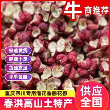 【花椒】正宗茂汶花椒重庆四川专用灌花香肠花椒产地直发