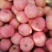 苹果山东早熟红富士产地直供商超品质全国发货口感好。