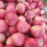 苹果山东早熟红富士产地直供商超品质全国发货口感好。