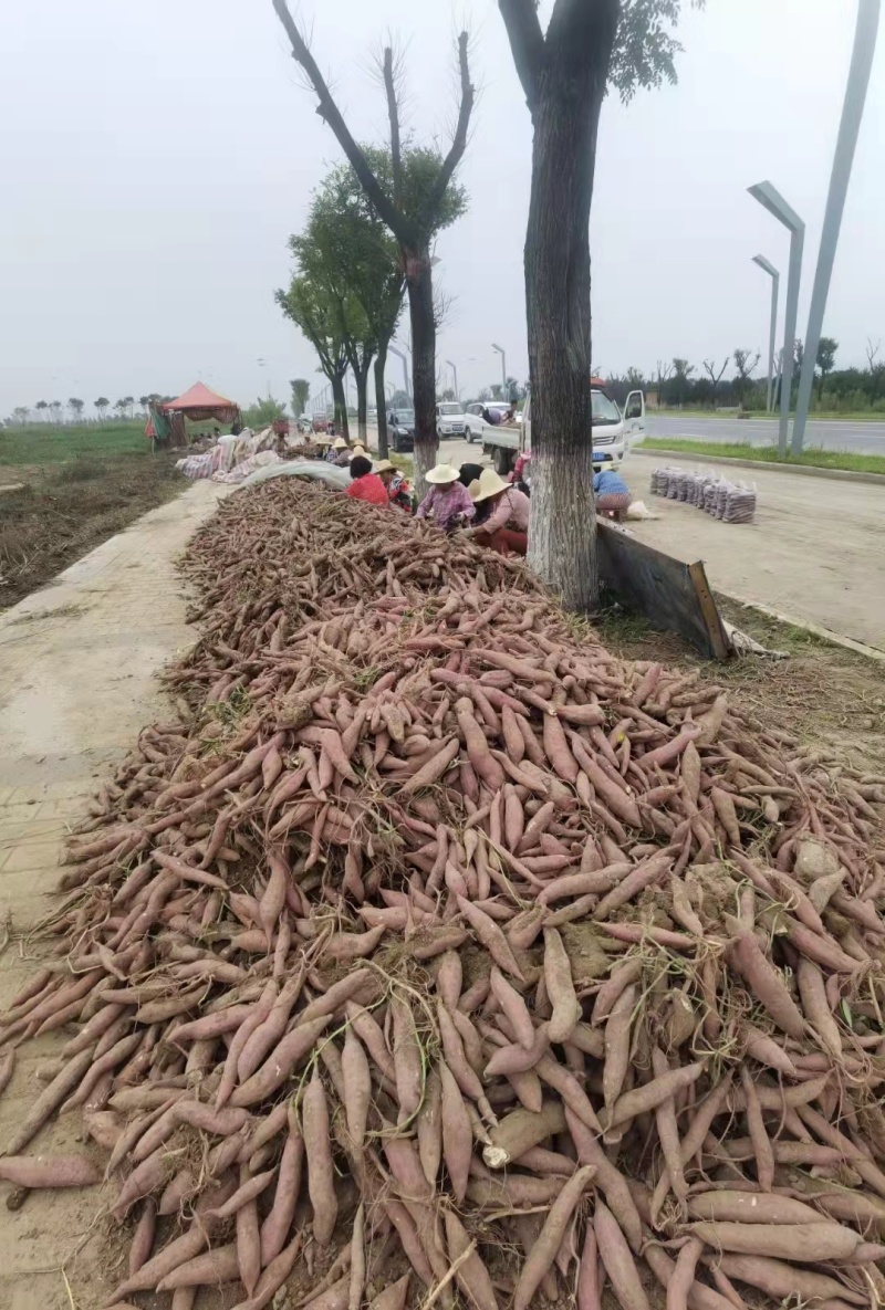 仓专业设备出货快无痕代发回单快多家快递物流信息更新快全国